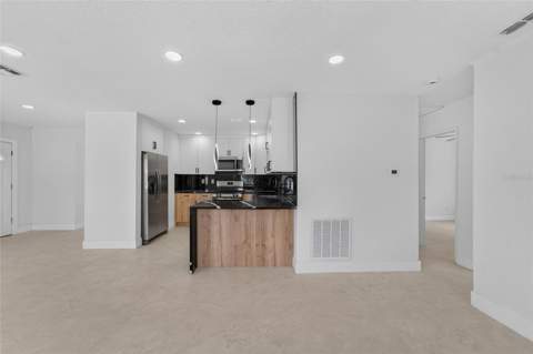 4711 W Lawn Avenue, Tampa FL - photo 12 of 75