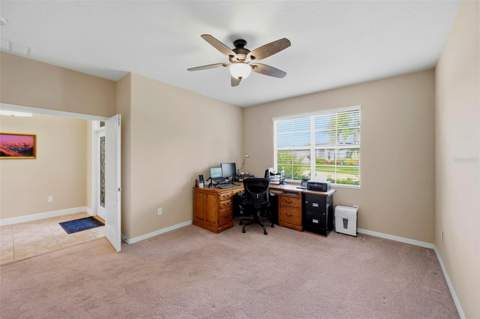 5009 Jagged Cloud Drive, Wimauma FL - photo 7 of 84