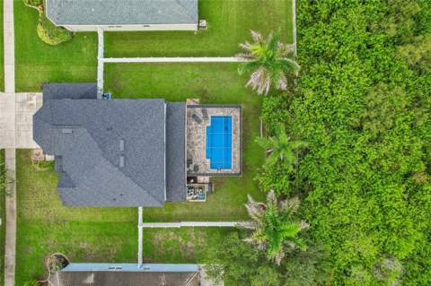 13231 Graham Yarden Drive, Riverview FL - photo 7 of 61