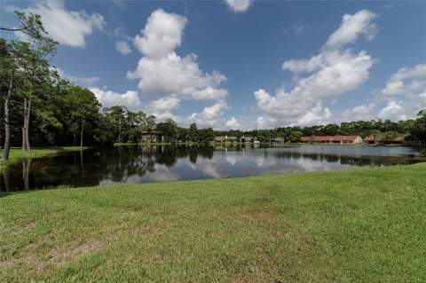 3430 Hillmoor Drive, Palm Harbor FL - photo 18 of 28