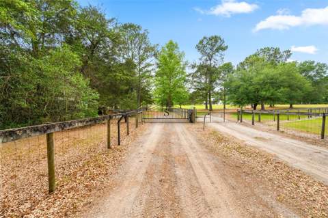 8822 NW 170th Street, Alachua FL - photo 6 of 6