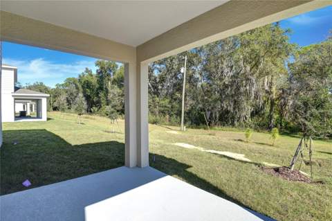 1010 Cloud Ridge Court, Mount Dora FL - photo 18 of 19
