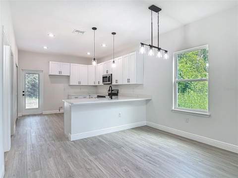 2445 Dolarway Street, Sanford FL - photo 11 of 37