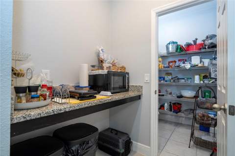 14031 Picard Alley, Winter Garden FL - photo 13 of 49