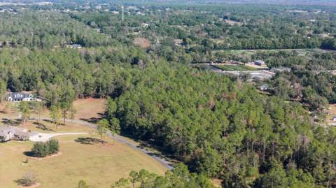 24250 Deep Springs Loop, Eustis FL - photo 8 of 11