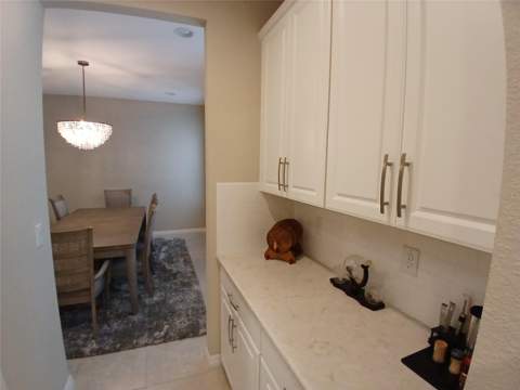 29900 Walsh Oak Drive, Wesley Chapel FL - photo 17 of 87