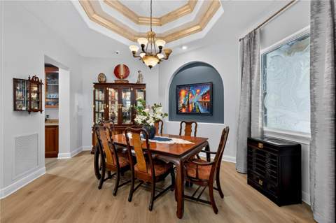 21732 Shamu Drive, Land O Lakes FL - photo 24 of 99
