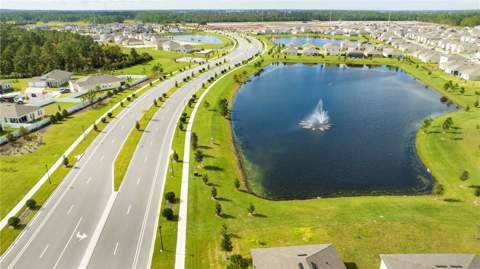 2847 Common Crane Court, Harmony FL - photo 7 of 61