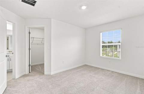 36159 Risa Michele Street, Zephyrhills FL - photo 14 of 34