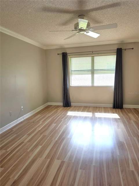 4045 Bluff Oak Court, Palm Harbor FL - photo 15 of 29