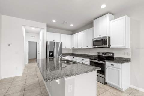 10631 Heron Hideaway Loop, Land O Lakes FL - photo 24 of 66