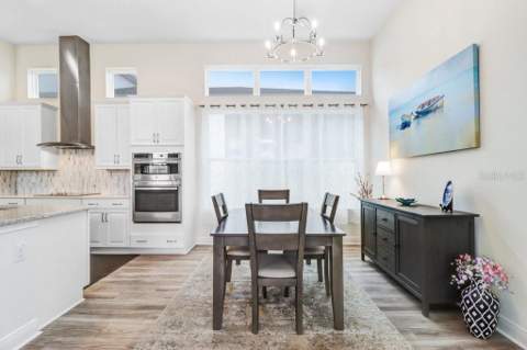 3847 Lajuana Boulevard, Wesley Chapel FL - photo 13 of 57