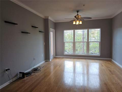1216 S Missouri Avenue #202, Clearwater FL - photo 11 of 27