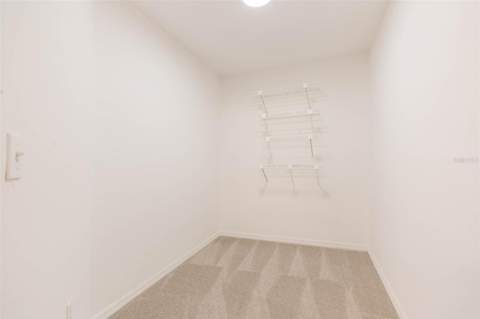 937 Bunker View Drive, Apollo Beach FL - photo 18 of 73