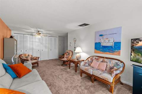 2700 Bayshore Boulevard #4106, Dunedin FL - photo 6 of 52