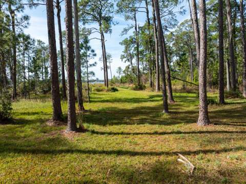 8822 Winter Garden Vineland Road, Orlando FL - photo 13 of 19