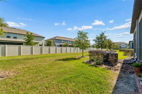 21851 Lyonia Lane, Land O Lakes FL - photo 15 of 50