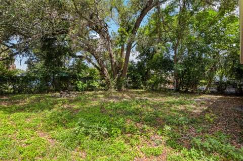 3808 N Whittier Street, Tampa FL - photo 24 of 31