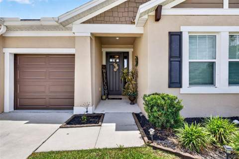 6946 Talamore Drive, Wesley Chapel FL - photo 7 of 76