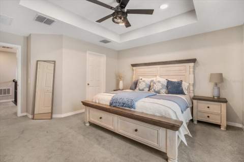 2882 Autumn Rock Drive, Zephyrhills FL - photo 14 of 29