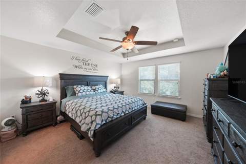 8415 Loblolly Pine Court, Riverview FL - photo 9 of 38