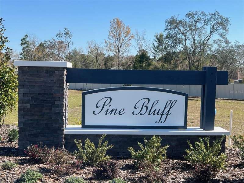 4 bedroom Single Family Residence at 12468 Langley Drive #Lot 84, Pine Bluff, Spring Hill — photo 3
