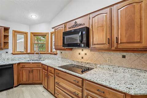 7273 Chesterhill Cir, Mount Dora FL - photo 16 of 47