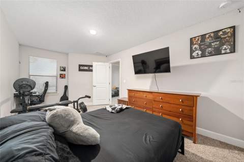 4744 Terra Esmeralda Drive, Kissimmee FL - photo 17 of 39