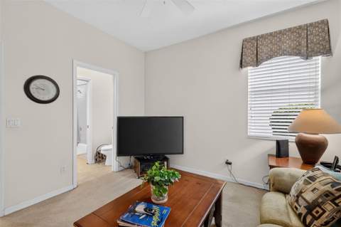 9085 Laurel Ridge Drive, Mount Dora FL - photo 24 of 55