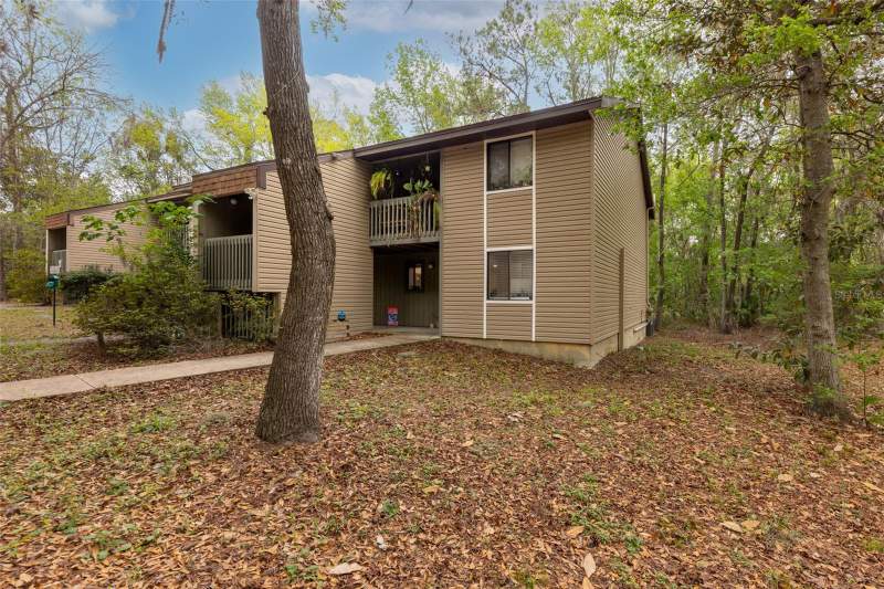 Treehouse Village
