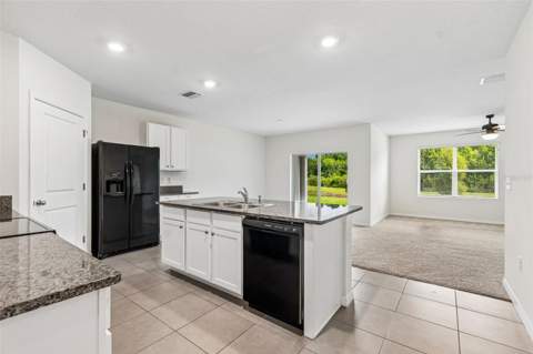 35525 Stella Vast Drive, Zephyrhills FL - photo 21 of 51
