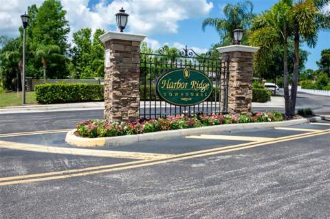 403 Harbor Ridge Drive, Palm Harbor FL - photo 6 of 35