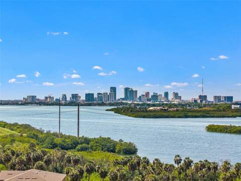 4720 Tuscan Loon Drive, Tampa FL - photo 7 of 32