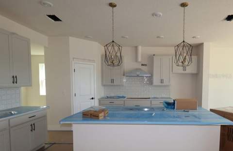 2835 Soleta View, Odessa FL - photo 9 of 15