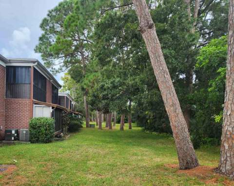 1143 85th Terrace #D, St Petersburg FL - photo 6 of 6