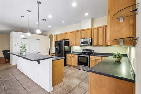 3538 Mulberry Grove Loop, Leesburg FL - photo 6 of 82