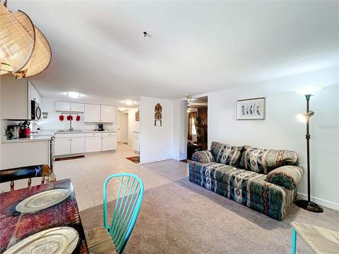1338 Saint Nicholas Avenue, Christmas FL - photo 13 of 47