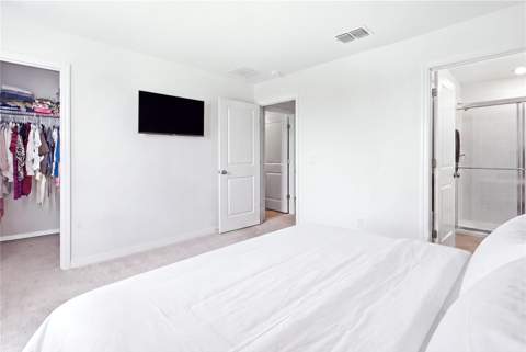 15038 Windflower Alley, Winter Garden FL - photo 17 of 29