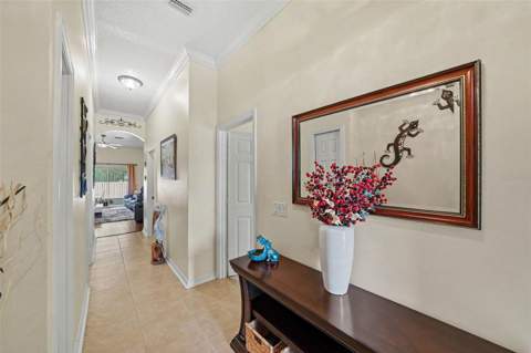 12337 Rose Haven Boulevard, New Port Richey FL - photo 9 of 34