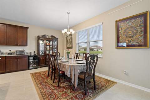 31046 Parrot Reef Court, Wesley Chapel FL - photo 22 of 99