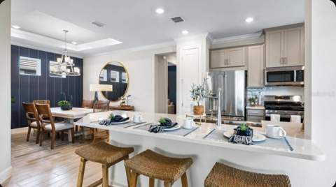 4305 Rosatti Road, Wesley Chapel FL - photo 6 of 32