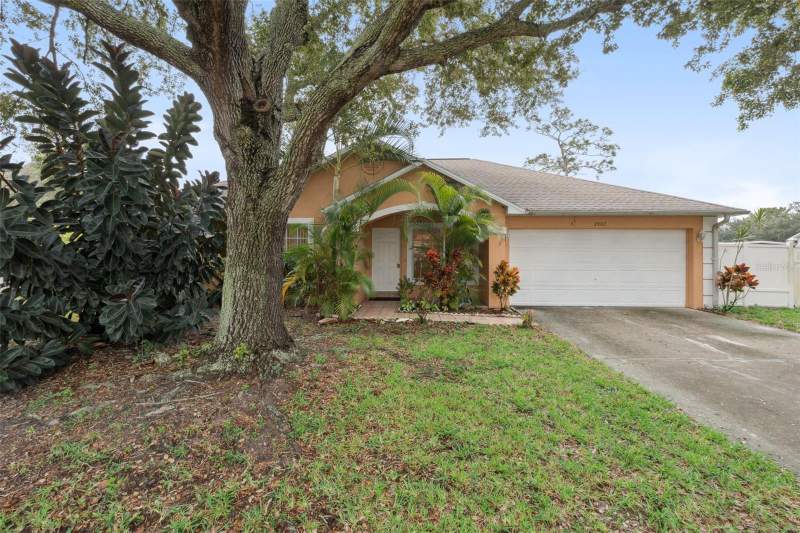 Westwood Forest