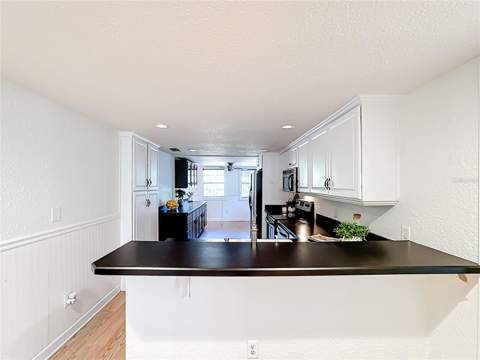 1148 N Grandview Street, Mount Dora FL - photo 15 of 82