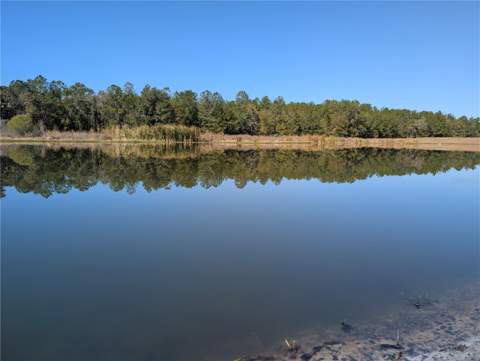 5619 Summit View Drive, Brooksville FL - photo 19 of 20