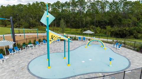 2847 Common Crane Court, Harmony FL - photo 16 of 61