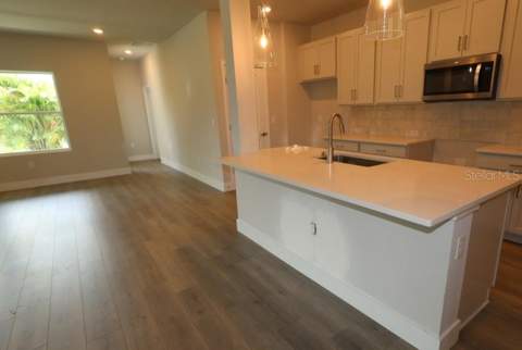2794 Soleta View, Odessa FL - photo 9 of 20