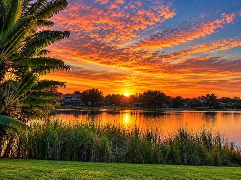 12173 Wild Acres Road, Largo FL - photo 23 of 23