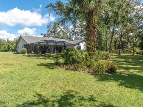 11211 Pine Forest Drive, New Port Richey FL - photo 6 of 6