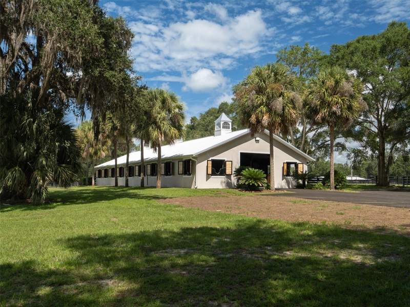 3 bedroom Farm at 3680 NW 115th Avenue, Ocala, Ocala — photo 5