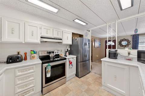 1018 Southland Drive, Tavares FL - photo 13 of 67